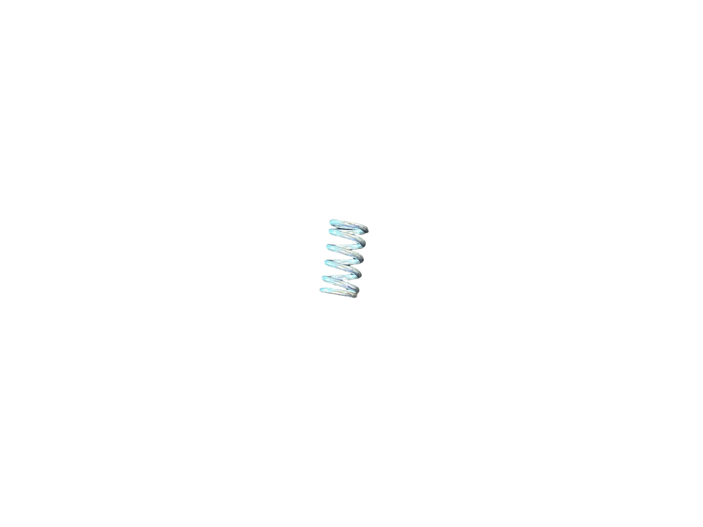 PLUNGER ADJUSTING SCREW SPRING (FM22)