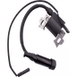 IGNITION COIL ASSY