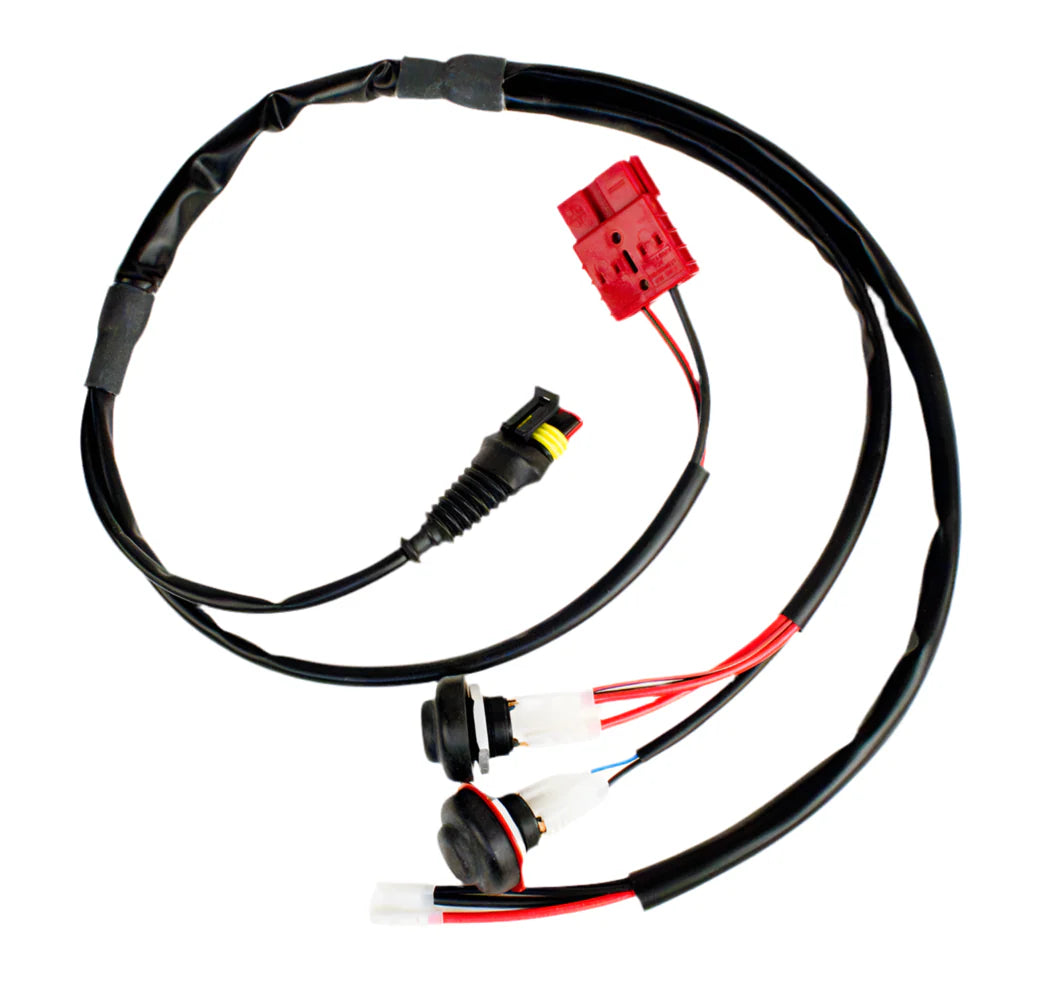 IAME wiring harness