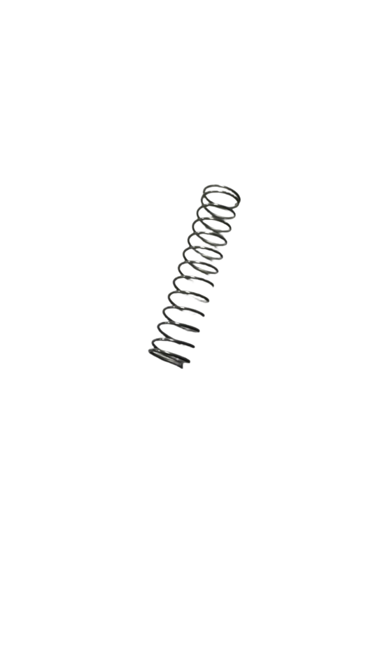 CHOKE PULL BACK SPRING (FM22)