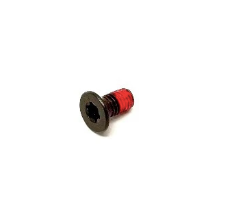 00111 TORX M5X10 Screw